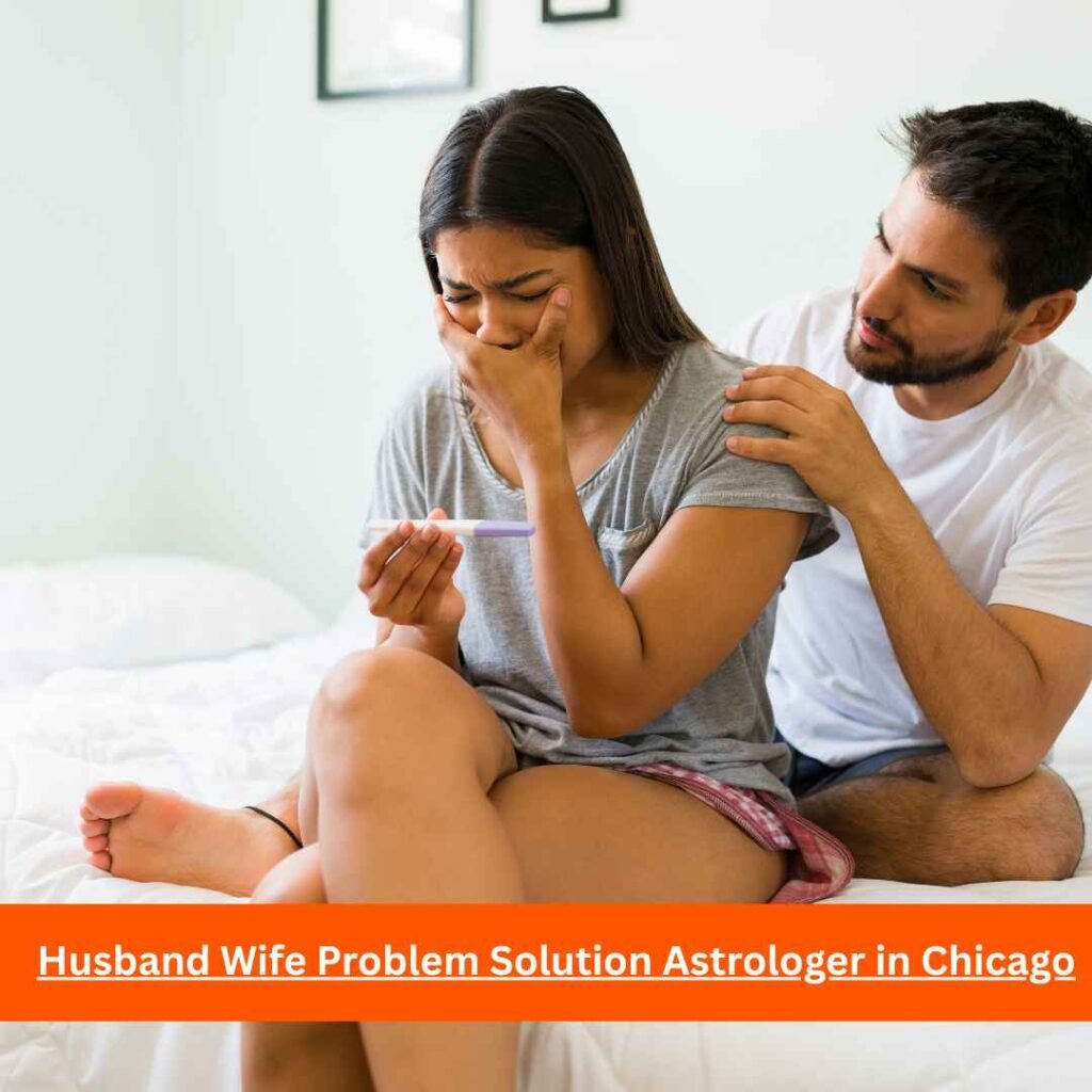 Husband Wife Problem Solution Astrologer in Chicago